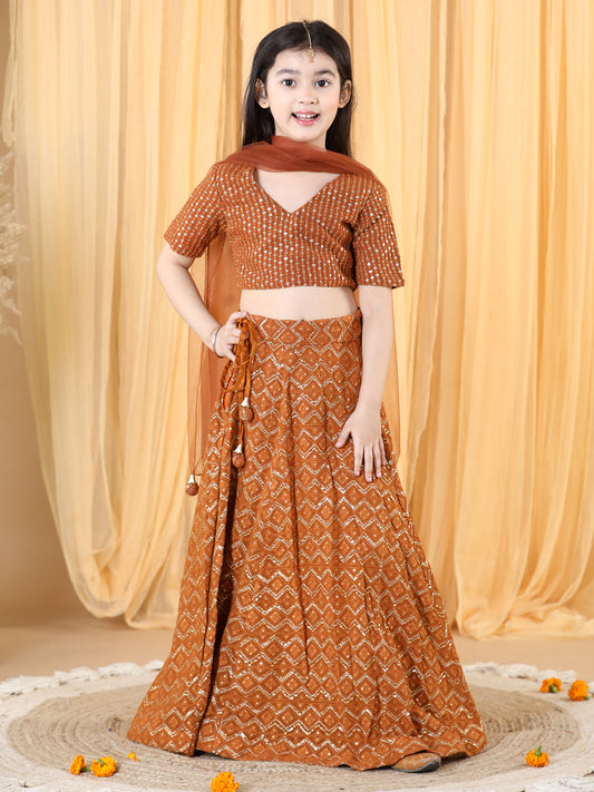 Piccolo-Brown Chikankari lehenga Set With Net Dupatta