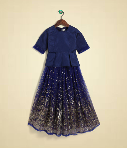 Blue Elbow Sleeves Solid Sequin Blouse and Lehenga Set